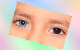 Когда цвет глаз малыша начинает меняться — таблица определения цветности