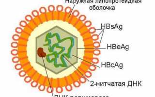 Поверхностный антиген вируса гепатита В