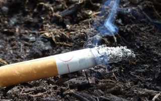 Почему тошнит от сигарет