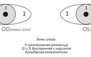 Хемоз конъюнктивы: как защитить слизистую оболочку глаз от воспаления?