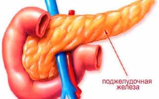 Как восстановить поджелудочную железу и ее работу