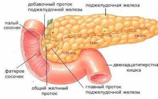 Стеатоз поджелудочной железы и печени