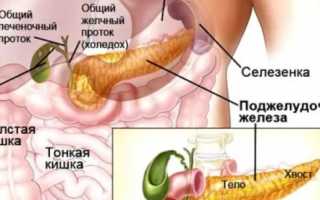 Как определить болит желудок или поджелудочная