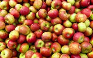 Почему от яблок пучит живот
