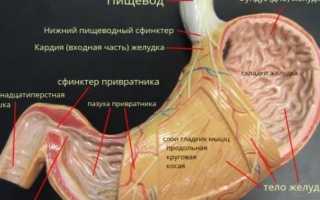 Признаки гастрита и какие первые симптомы — это гастрит