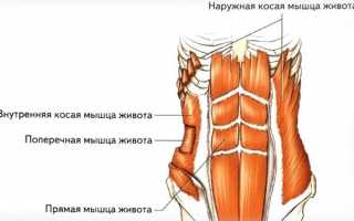 Болит внутренняя косая мышца живота справа